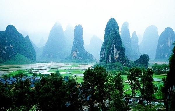 呆萌动物园
